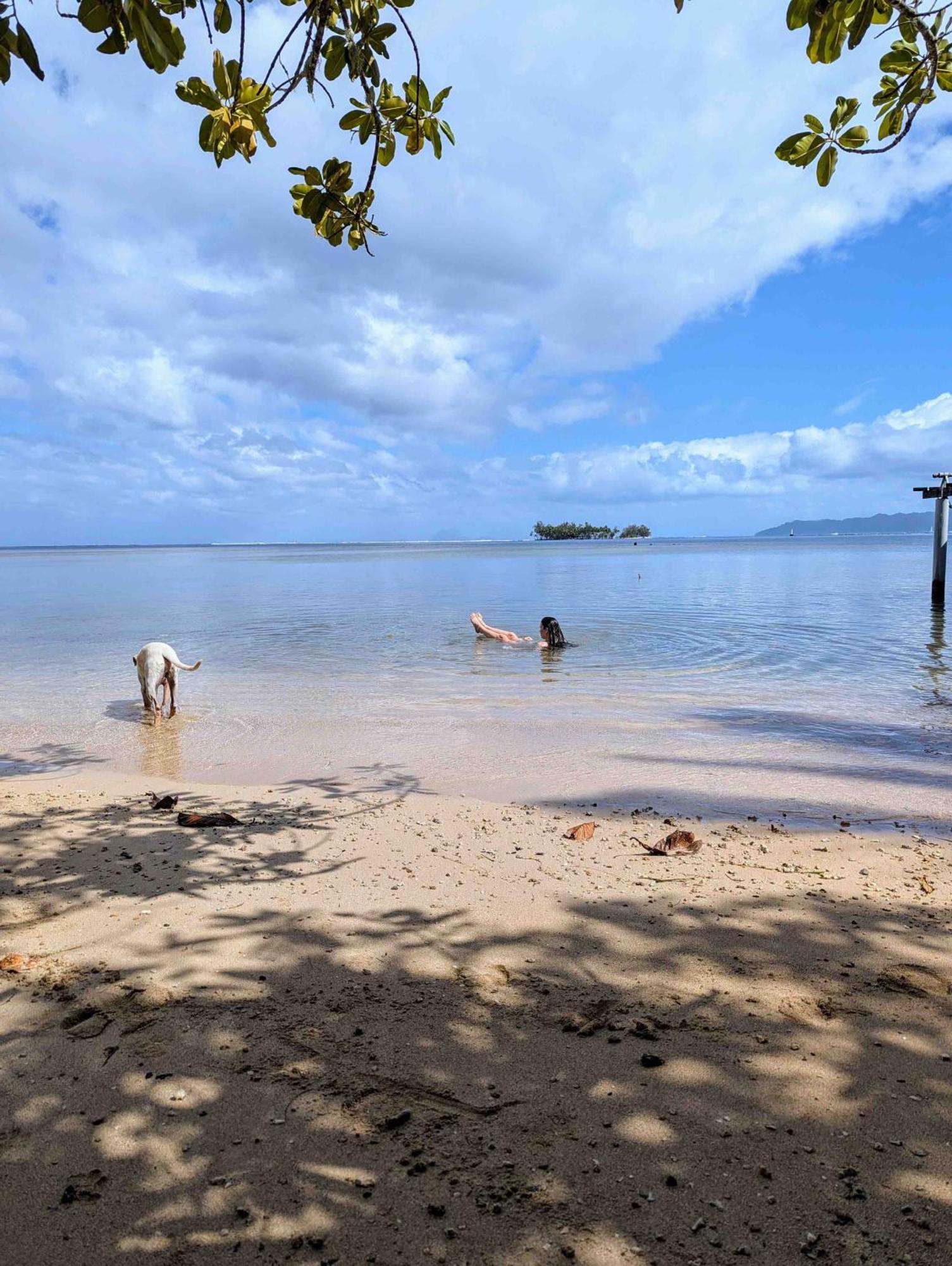 Raiatea - The Beach House - Plage Sur Le Lagon ! Tevaitoa Екстериор снимка